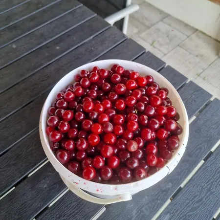 Av Lugnet